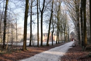 229637-65fe310fd705cb201c62def5a26968e7