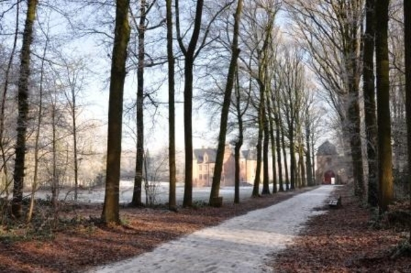 229637-65fe310fd705cb201c62def5a26968e7