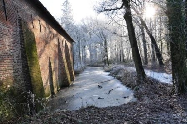 229638-3eec5f922427f90c8c251a4b187a136b