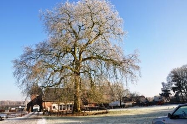 229638-6e42c0d4f4be9e32750a5baa119caaba