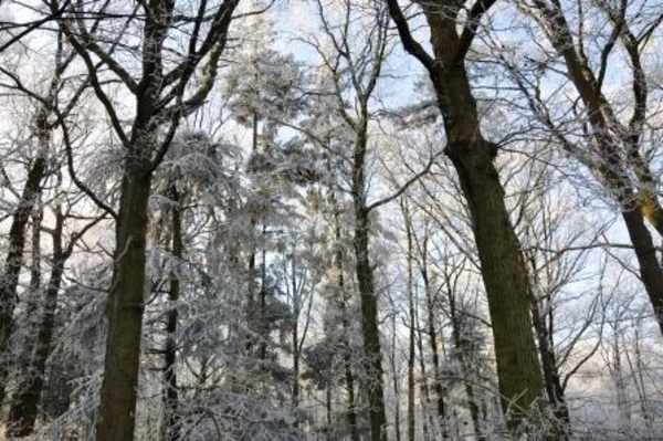 229646-7a9b9e3aa58ff90780b55854e3ad4468