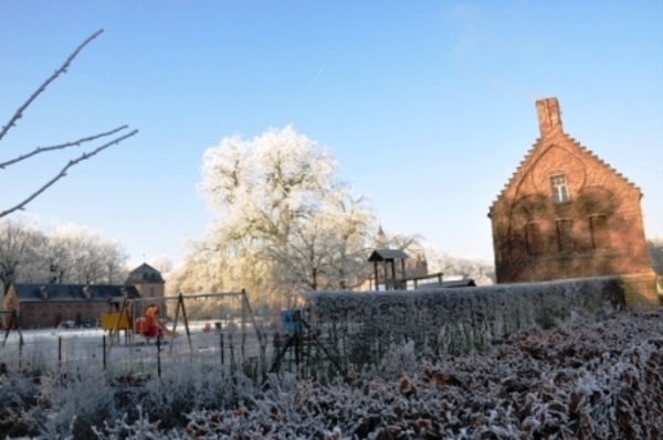 229646-8c7f207491a45a0d273a1754226f2f8a