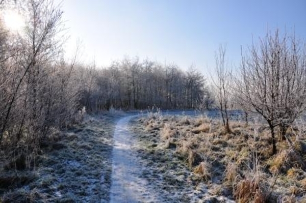 229650-066cb2dd2320a23eeb5d8233d3063f78