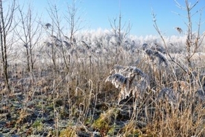 229654-94f1fc2735587649e07752534b3c66c3