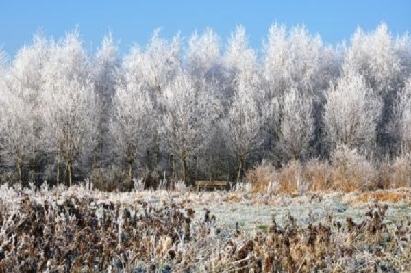 229654-e8472deb73e3786bf7507e5ad5daa3e4