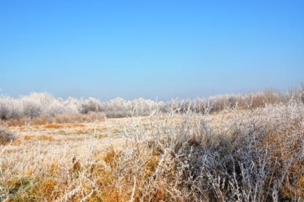 229656-074aaf60fe7039062d2168cfd61c59af