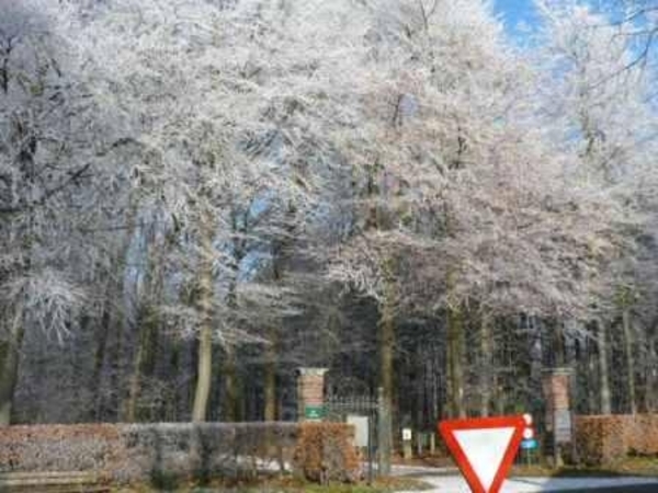 229666-0412c63307e980c56db2316d815c19c0