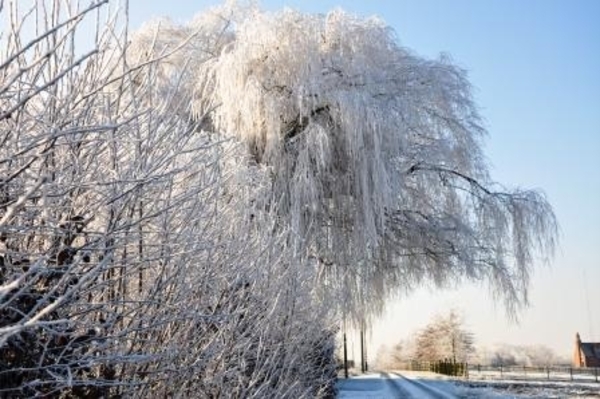 229666-a465e5dcc8254c9ea752ba5765b24aa9