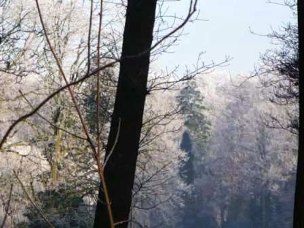 229671-6fa6146a30ef80d09537b88f00ebb401