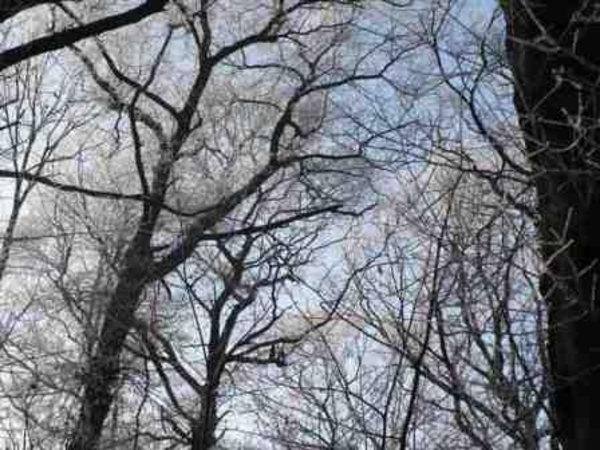 229671-9e4d9f5bac2b99faa45cde45183e9790