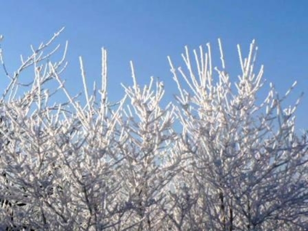 229686-2565f092b7fa2025c234cc5e24b5bf91