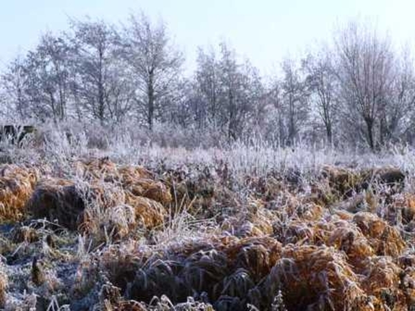 229686-ae493e76355d94f1803e341906730770