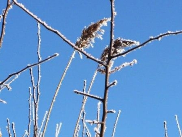 229686-ed1eda5cf594980bc6be45c2cb150a30