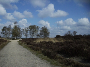 heide 04 001