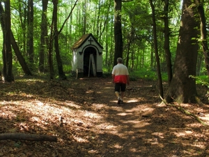 een zeer mooie lus door de Everbeekse bossen..