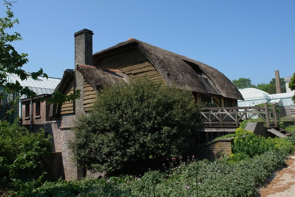 DSC05364