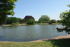 DSC05376