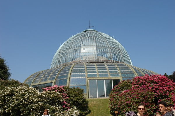 DSC05380