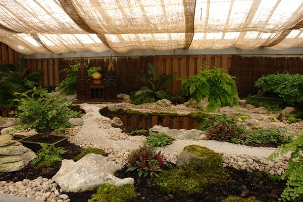 DSC05470