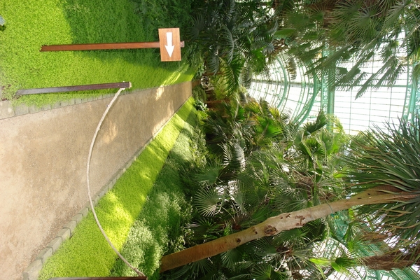 DSC05476