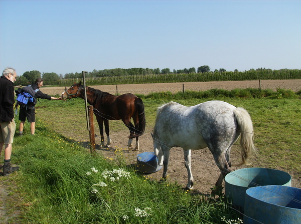 Dendermonde Mei 2011 004