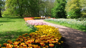 DSCF0650