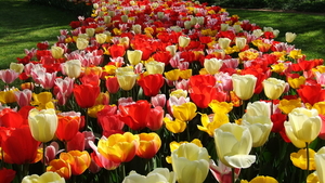 DSCF0676