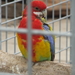 DSCF0695