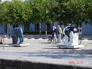 DSC01639