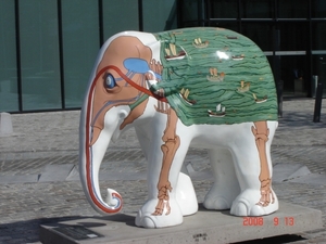 DSC01646