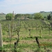 Toscane 138