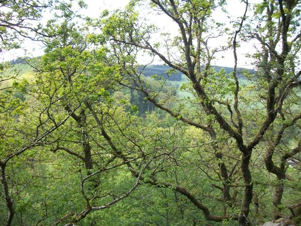 49-Roches des Clappes