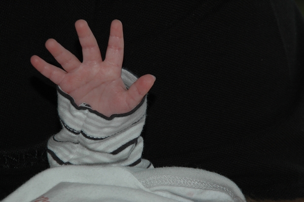 NIK_20110430_112035a