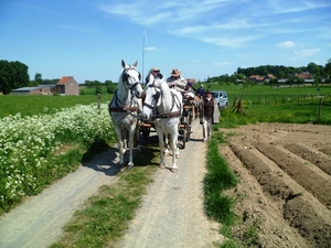 3 Mei Halle Willy Naessens. 041