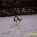 sneeuwpop
