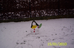 sneeuwpop