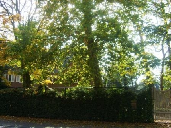 137919-8b51a21c617c191832140fa040b304ad