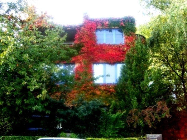 137921-1b47971801b7e058a9ba3cd3e00c9b51