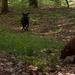 20110507-IMG_9739