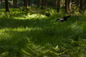 20110507-IMG_9775