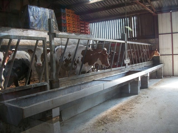 27-Koeienstal-'t Kloosterhof