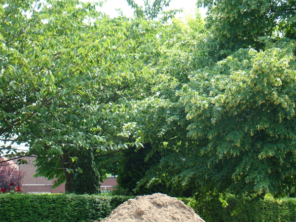 24-6-2010 015