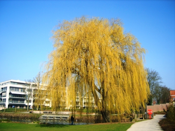 3 -0 2-201 083