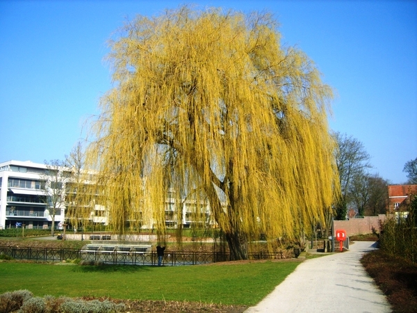 3 -0 2-201 084