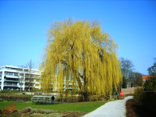 3 -0 2-201 085