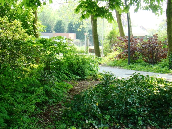 BEVEREN 21 - 4 -2011 013