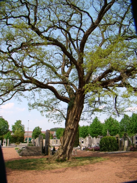 BEVEREN 21 - 4 -2011 028