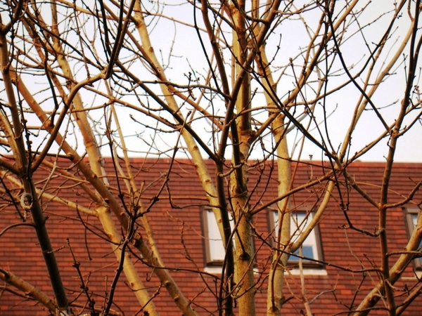 film 002