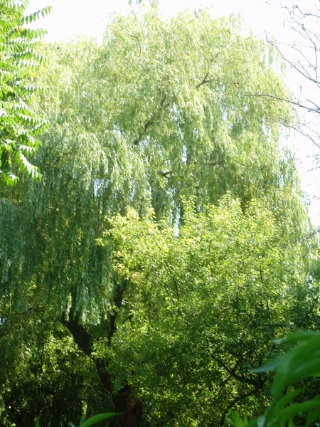 fotos natuur 025