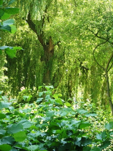 fotos natuur 026